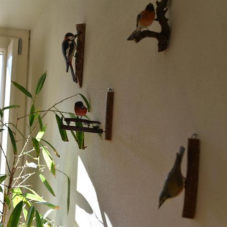B&B Convivium Stazzema Zewnętrze zdjęcie